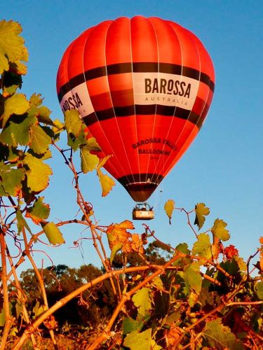 hot air balloon rides at barrossa valley